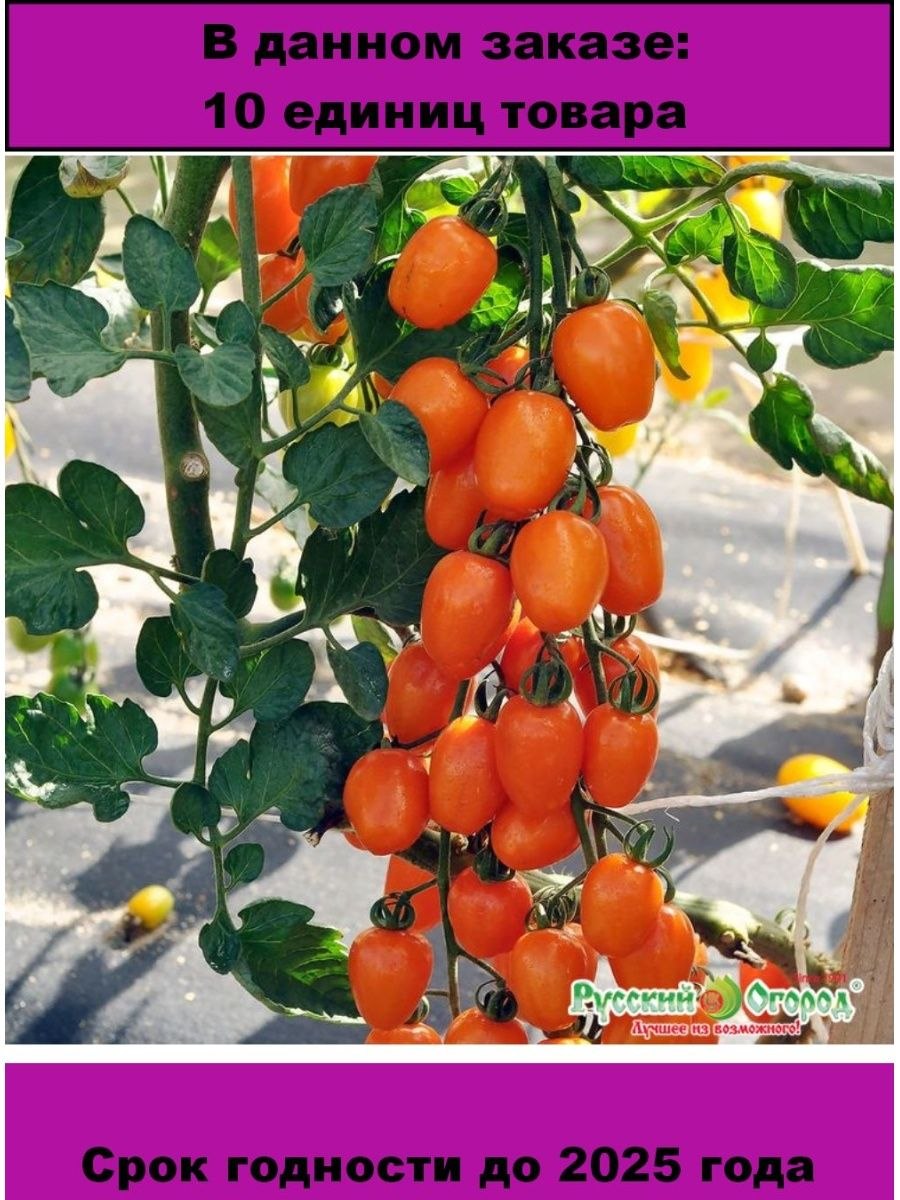 Томат Северный экспресс f1 партнер