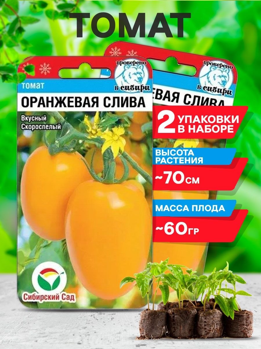 Томат южный загар