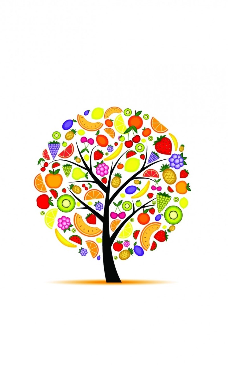Дерево с фруктами вектор