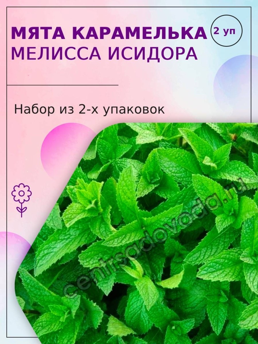 Семена Гавриш семена от автора Мелисса лекарственная Исидора 0,1 г