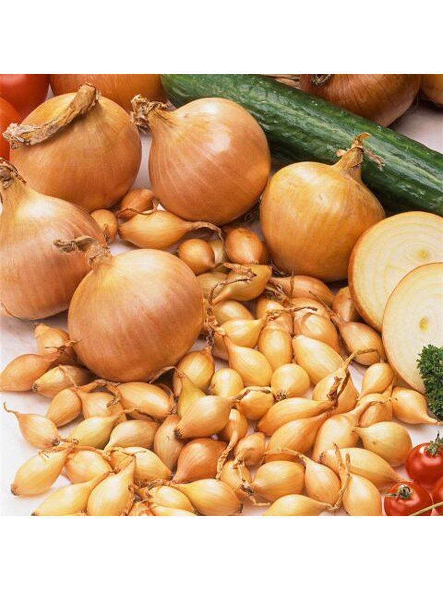 Лук репчатый стригуновский местный