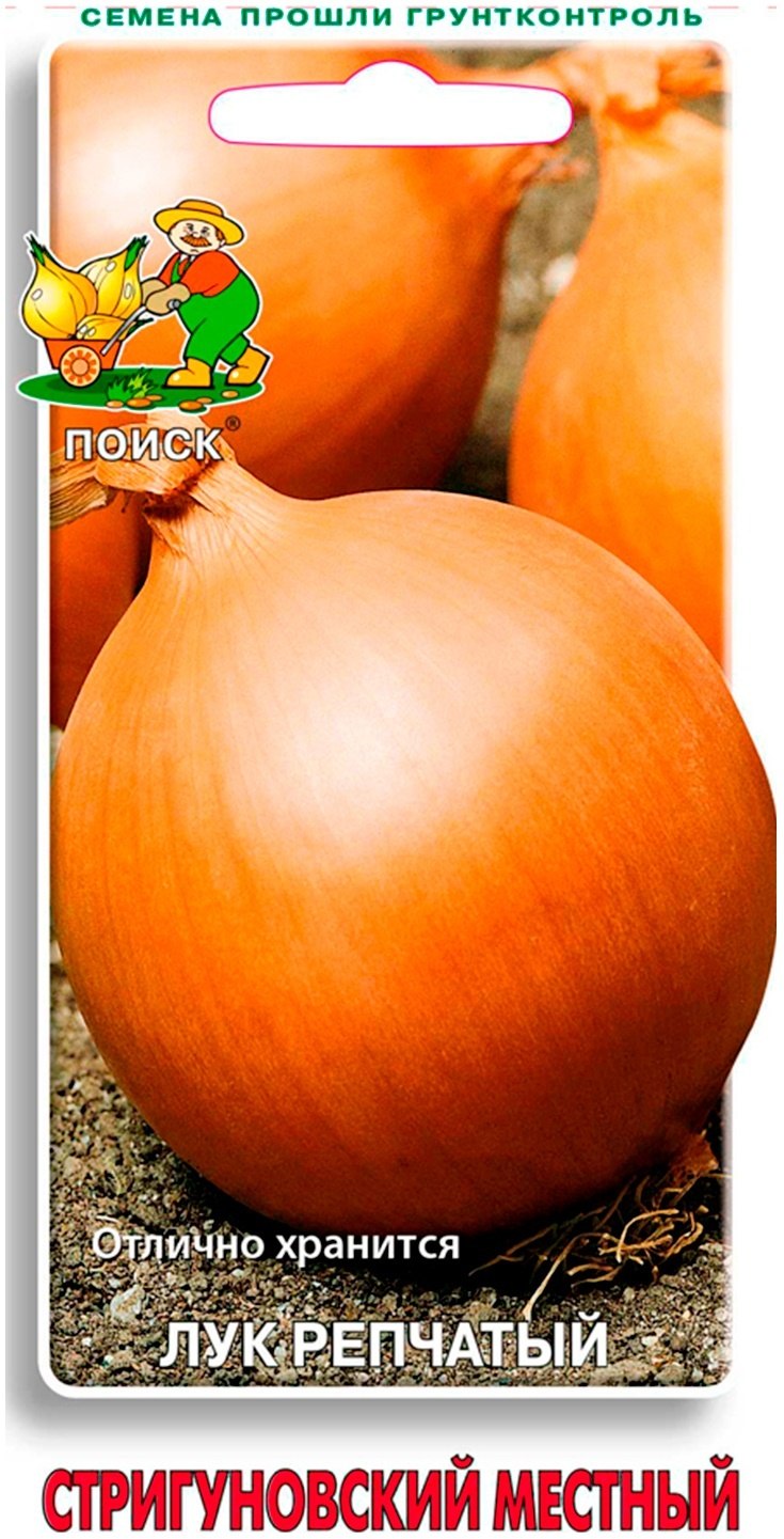 Сорт лука Стригуновский