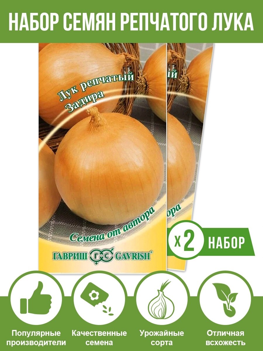 Лук сорт Стурон описание сорта