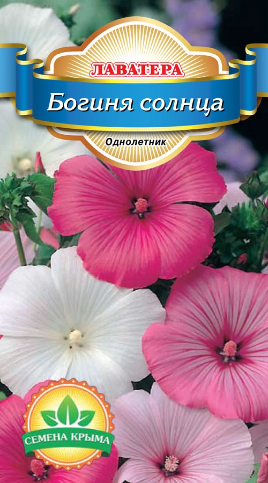 Мальва – Alcea rosea
