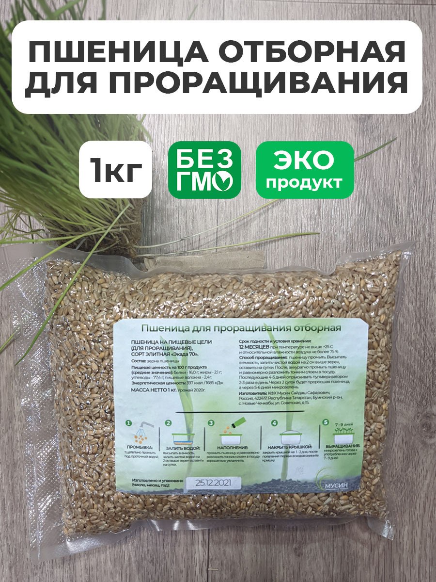 Никон Яровая пшеница