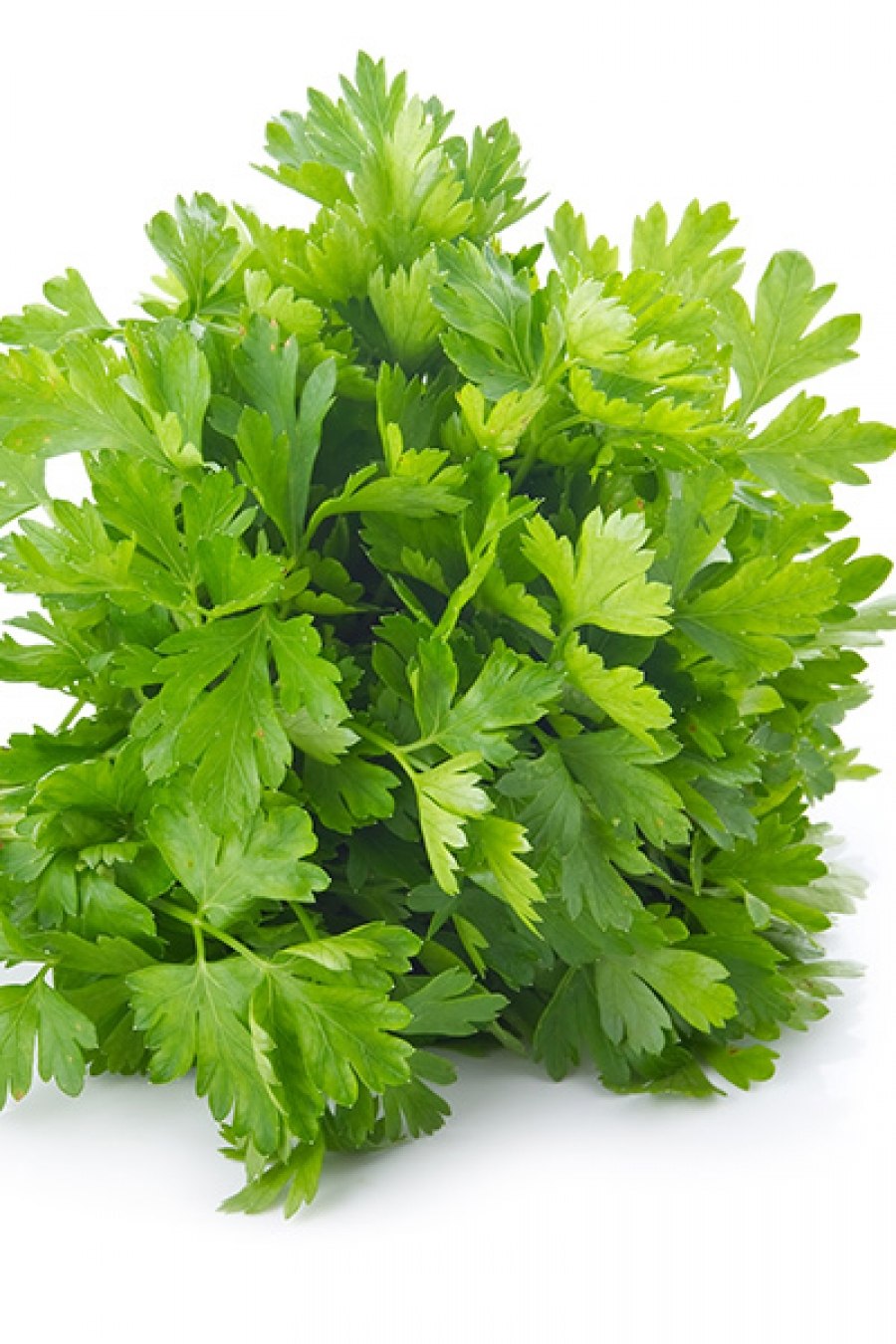 Семена Агроуспех "петрушка кудрявая Москраузе 2"