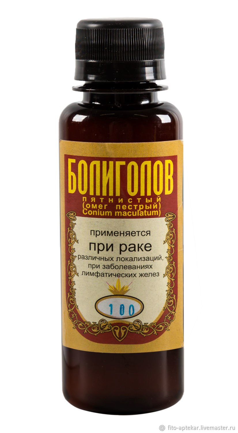 Болиголов пятнистый
