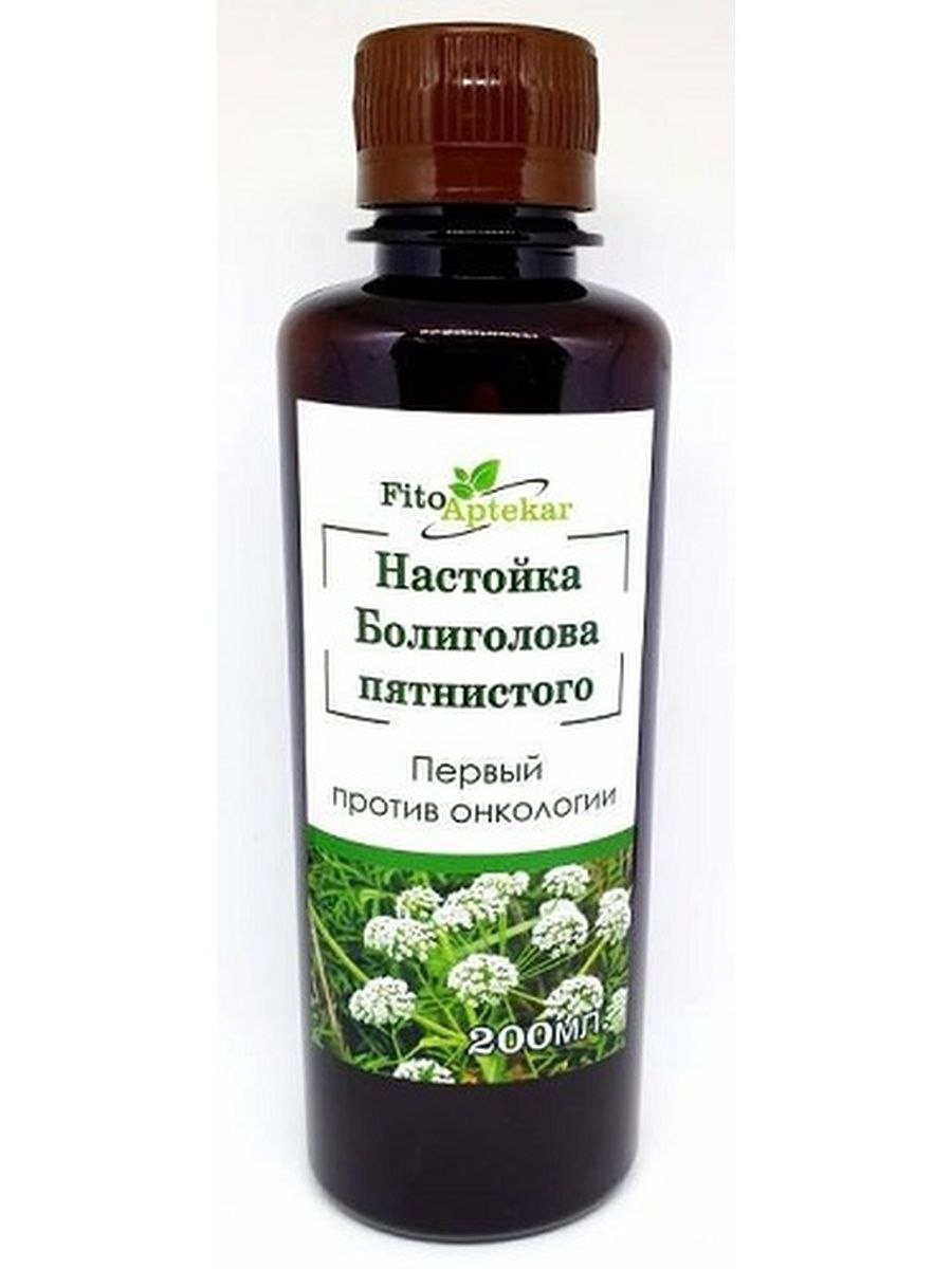 Болиголов семена