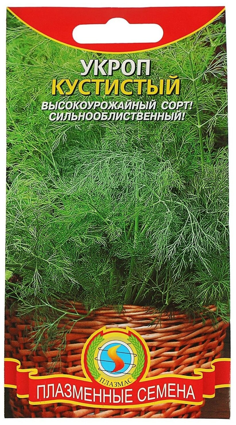 Укроп сорт Аллигатор
