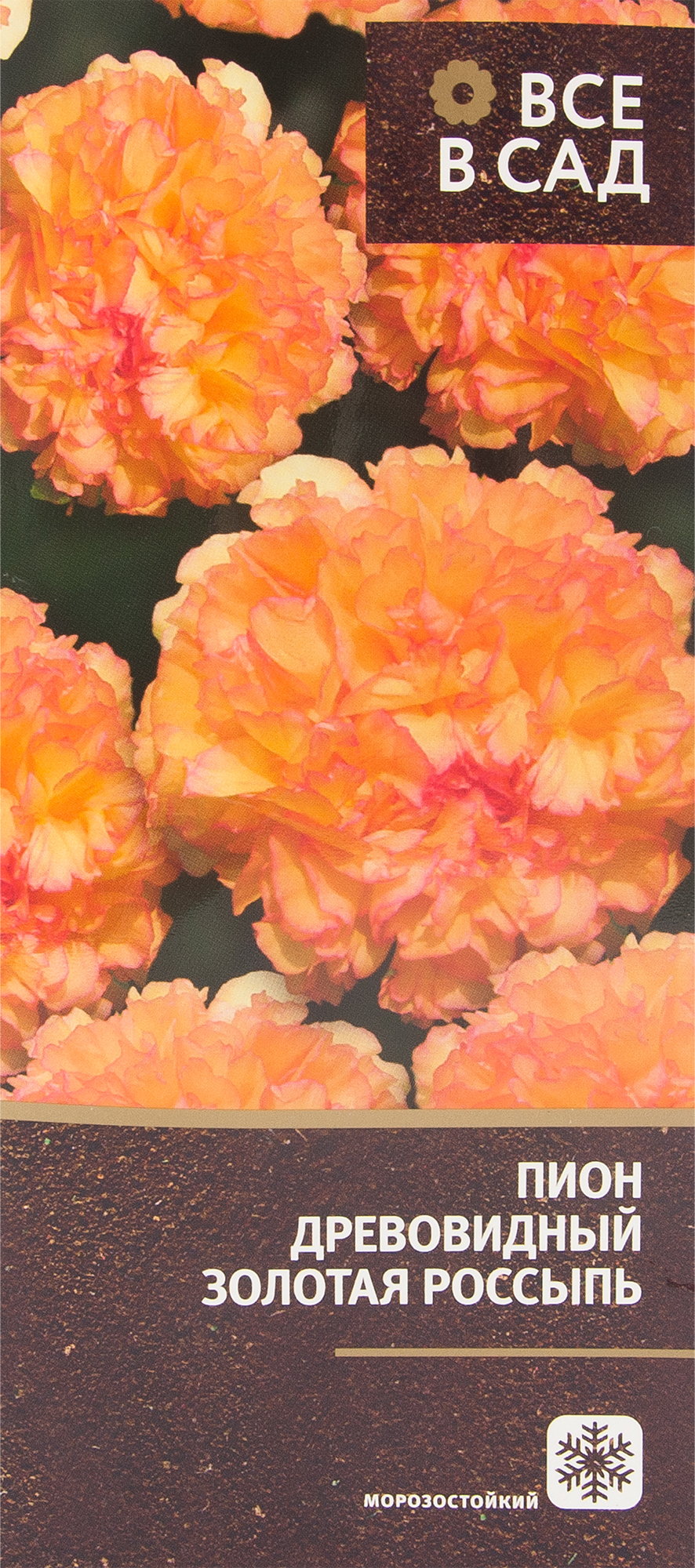 Пион древовидный Золотая россыпь