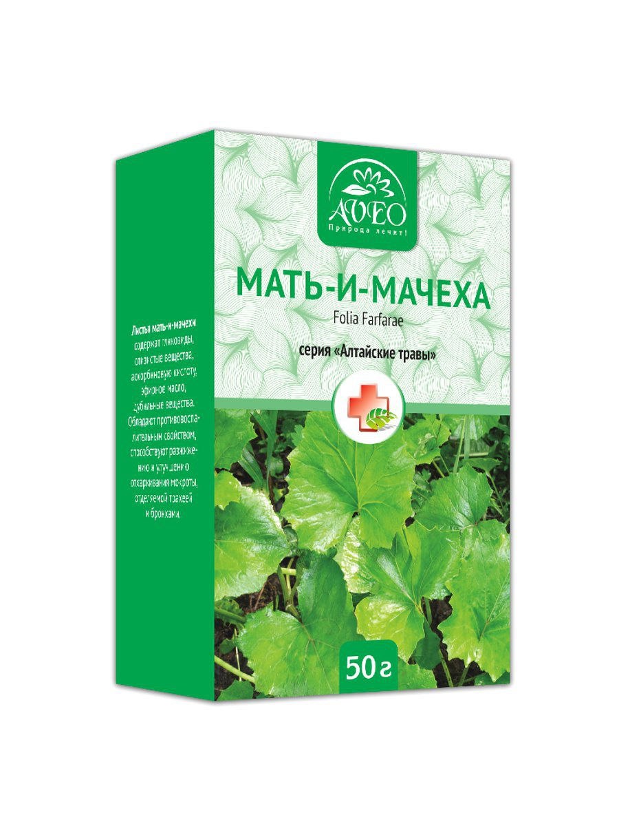 Листья мать и мачехи сбор