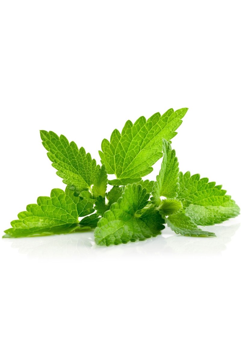 Таблетки мята Мелисса валериана