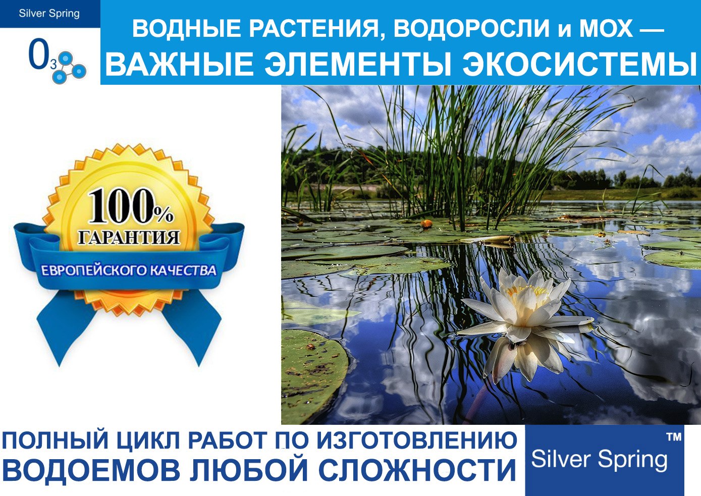 Особенности строения водных растений