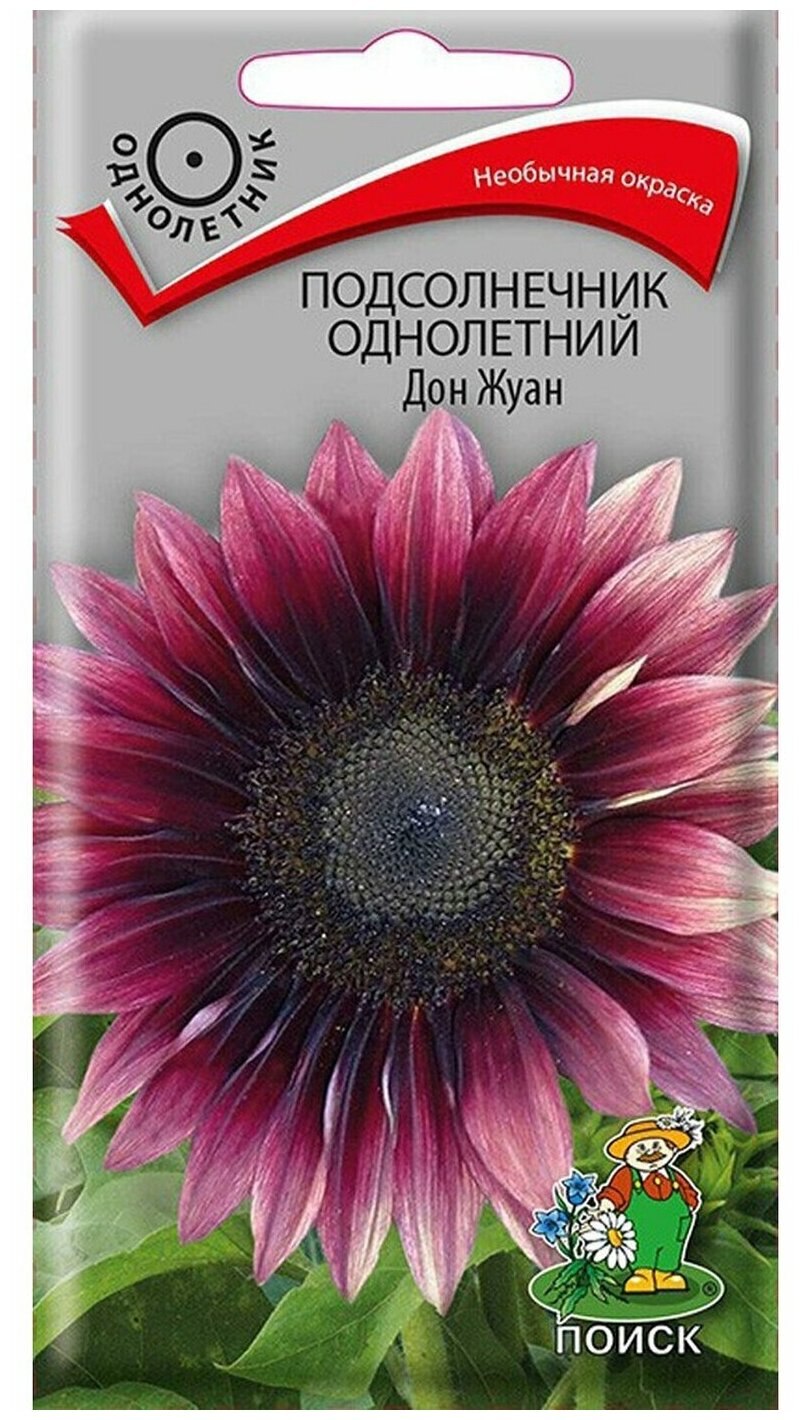 Цветы подсолнечник Дон. Жуан