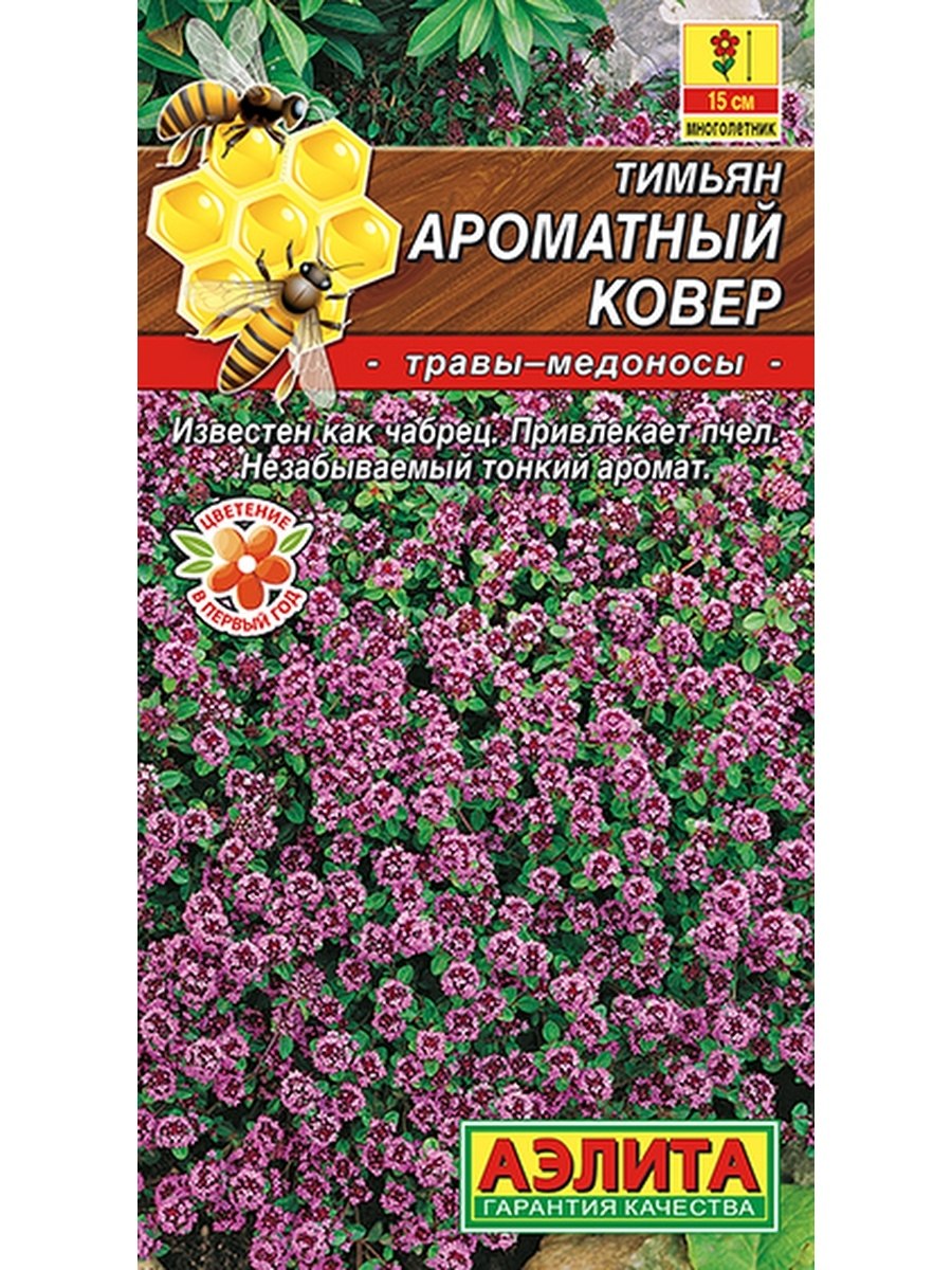 Аэлита тимьян ароматный ковер
