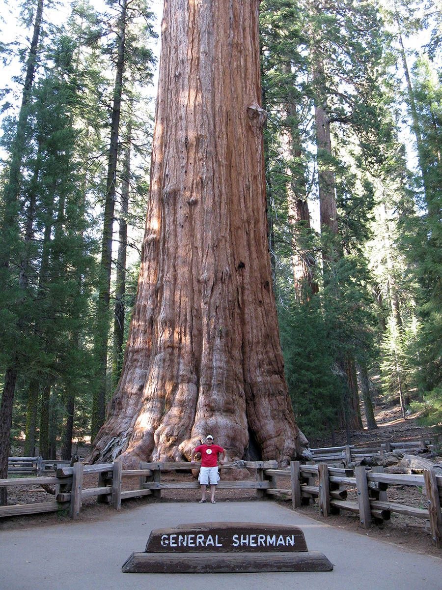 Giant Sequoia National Monument