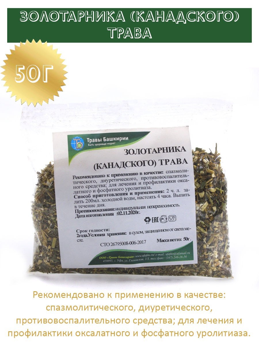 Золотарник канадский для пчел