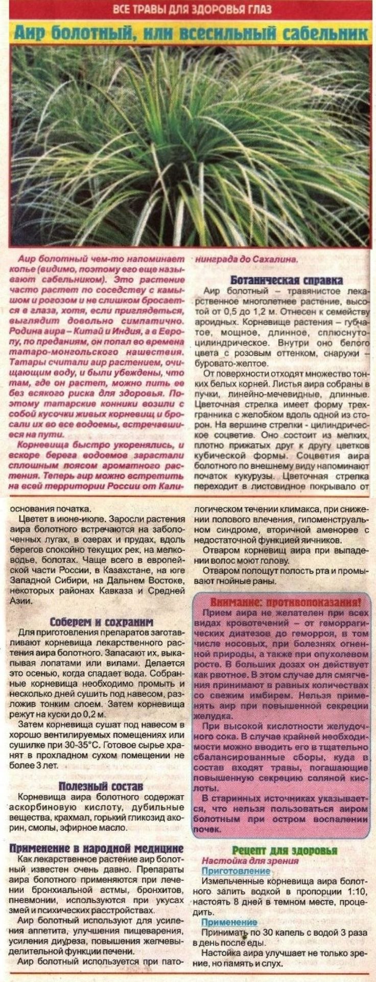 Сабельник болотный