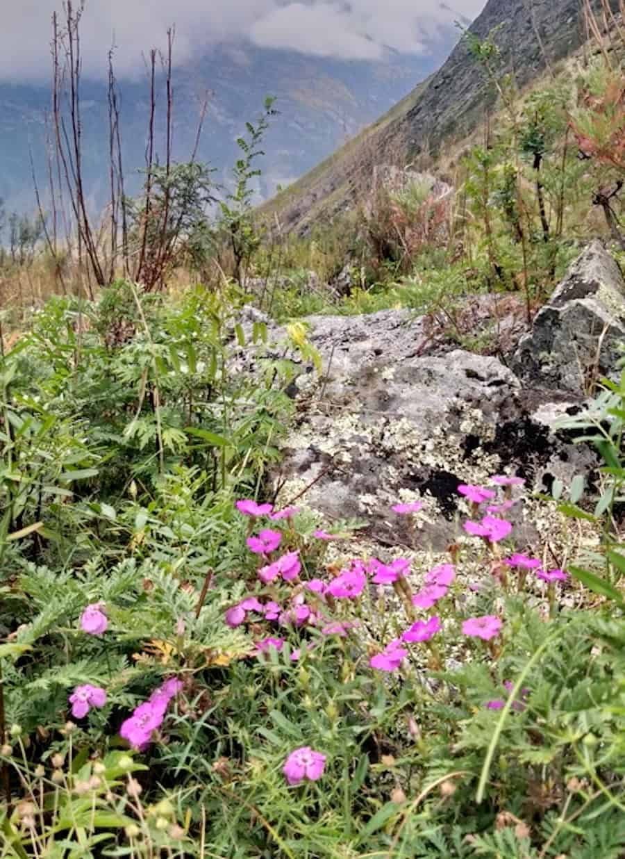 Северо-Чуйский хребет