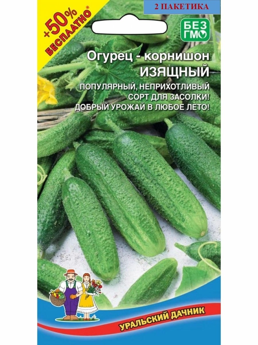 Семена Огурцов Изящный Купить