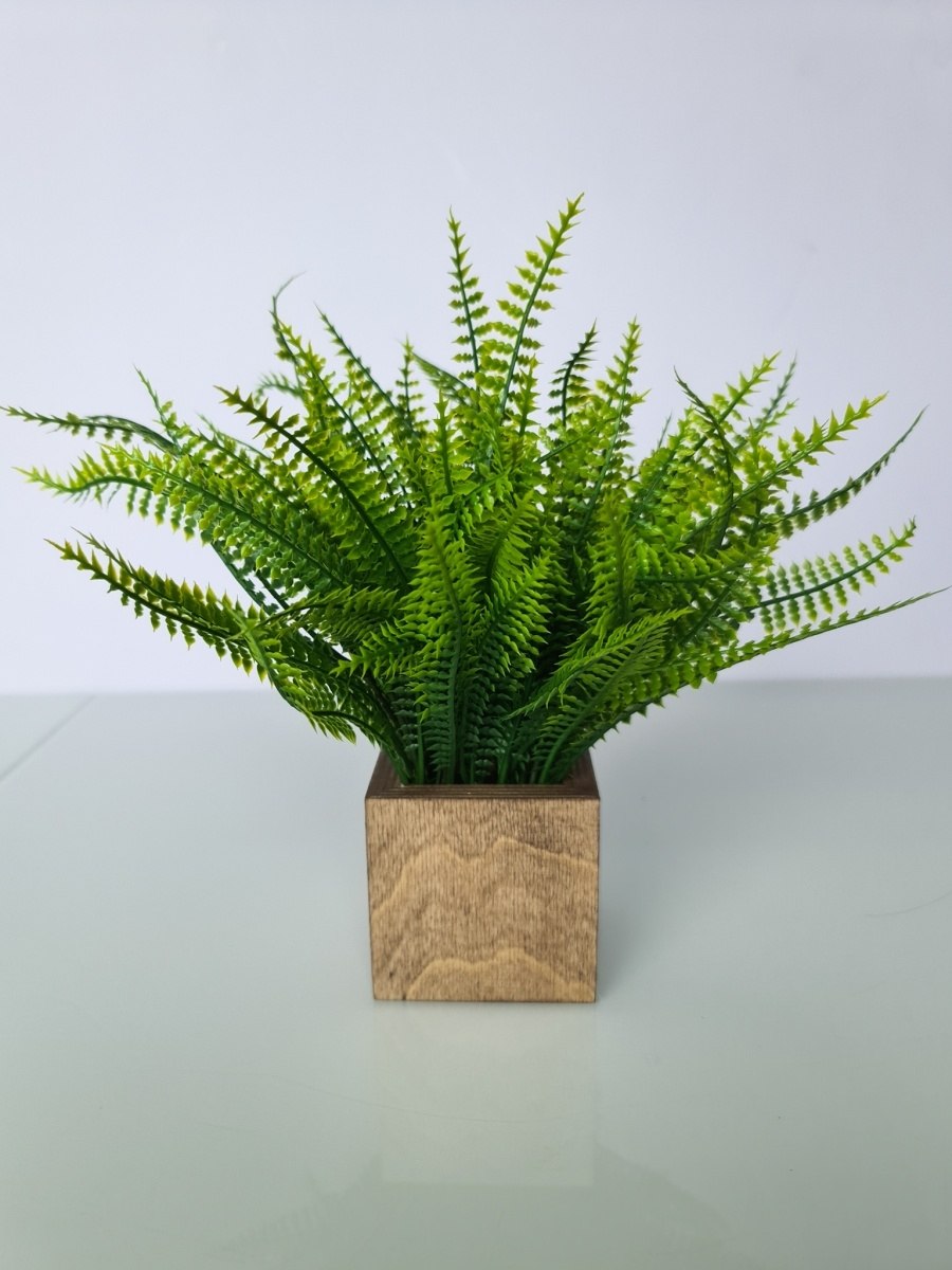 Папоротник микс