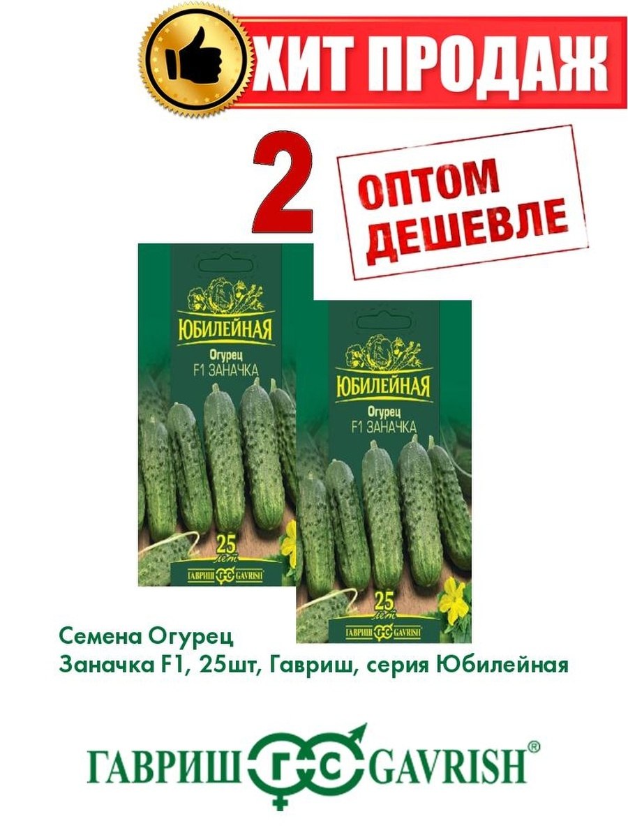 Сорт огурца Алтайский ранний