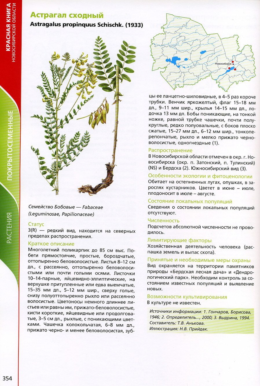 Астрагал сходный