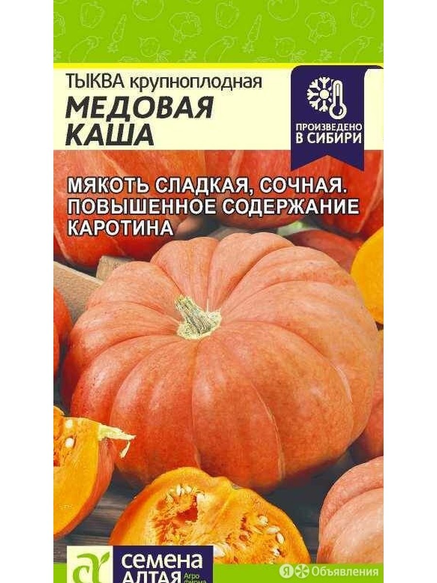 Тыква медовая гитара