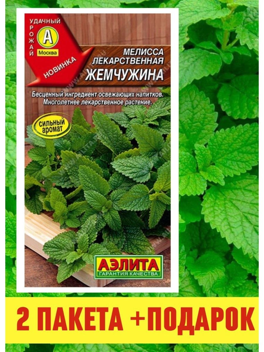 Мелисса Жемчужина фото