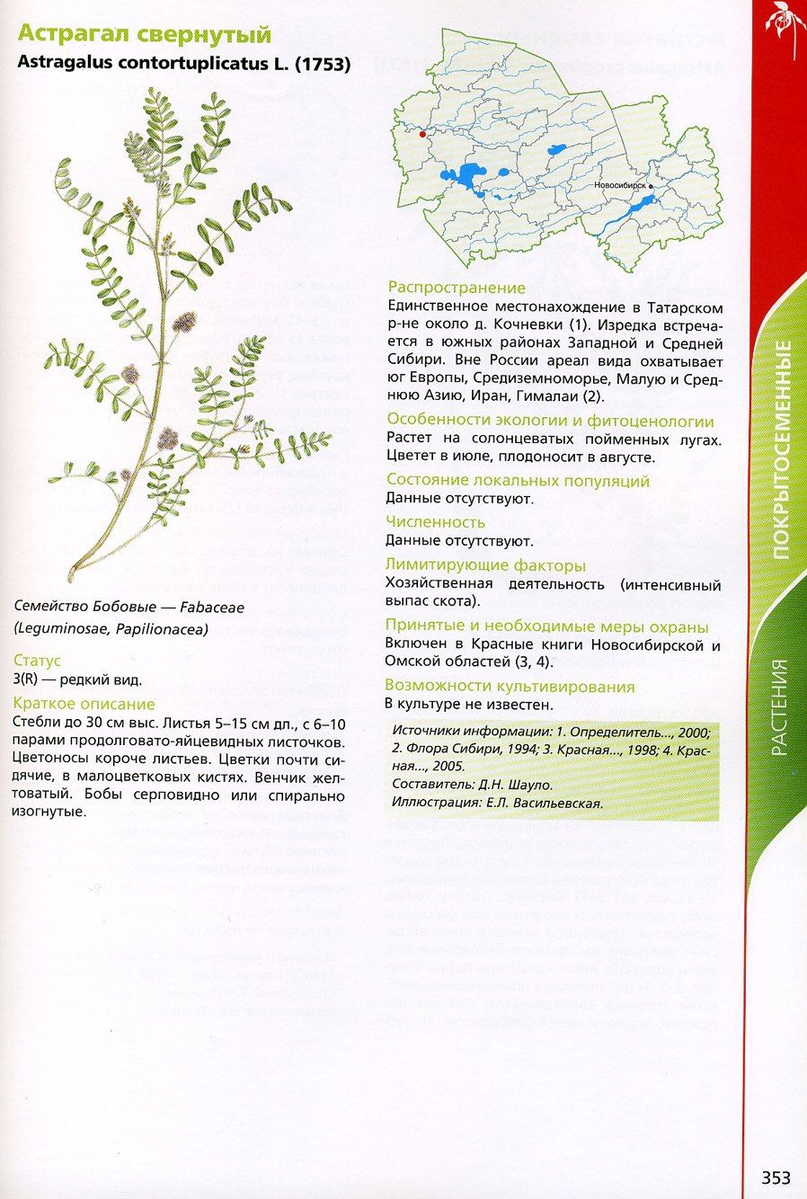 Краснокнижные растения Новосибирской области