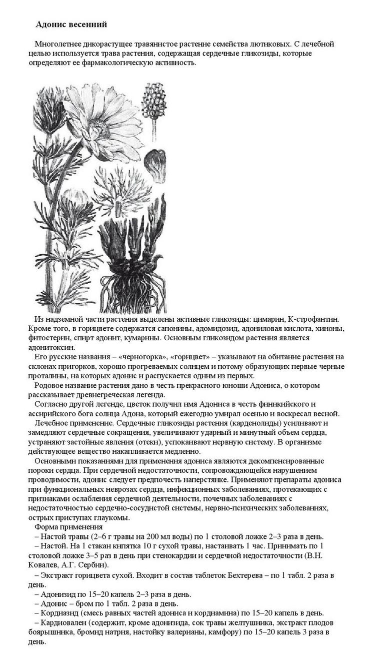 Корсун уникальные лечебные свойства сорняков