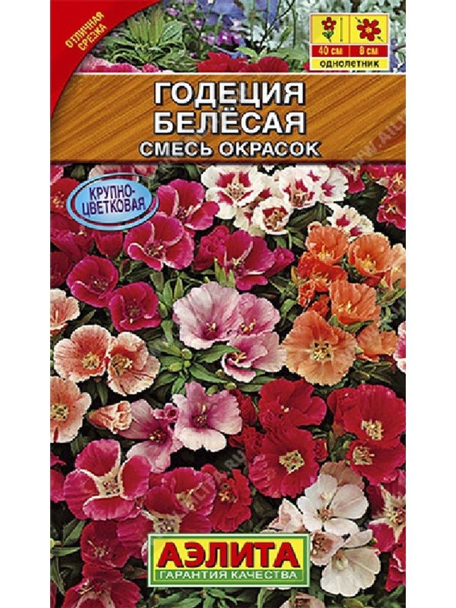 Кларкия высота растения