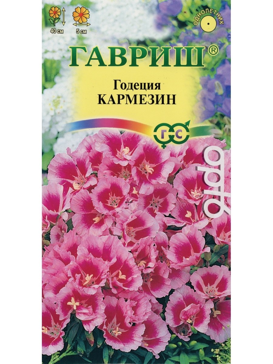 Цветы годеция Монарх