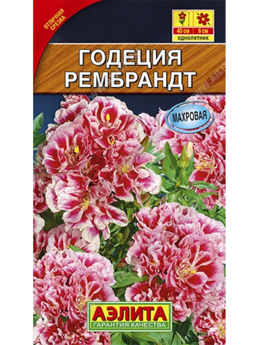 Годеция азалиецветковая