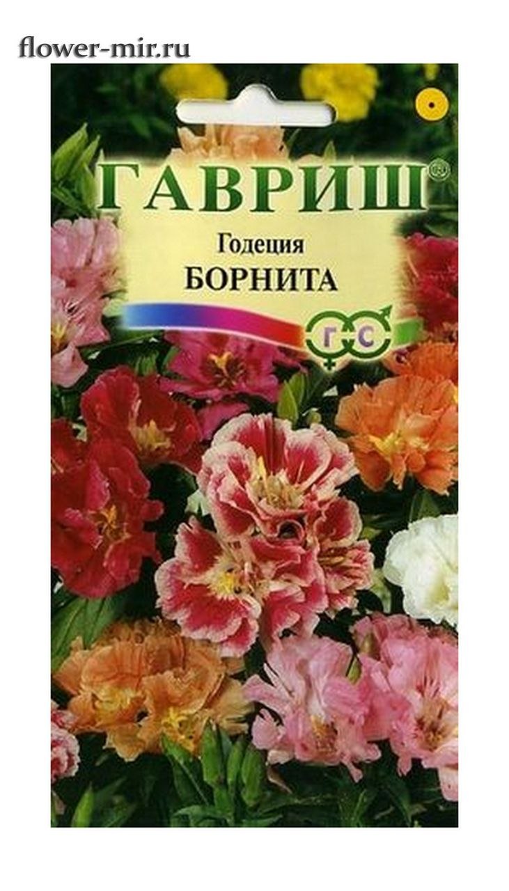 Годеция Монарх