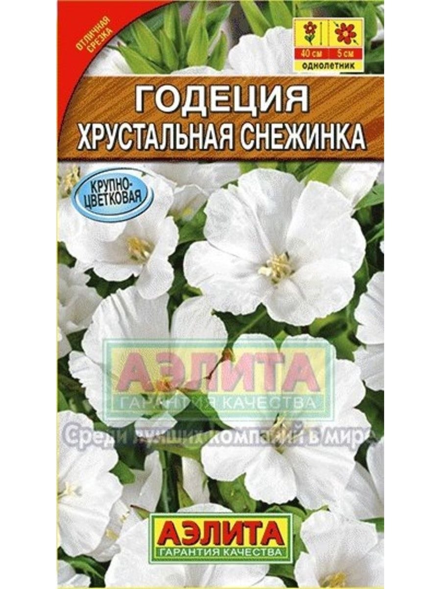 Гавриш годеция клумбовая