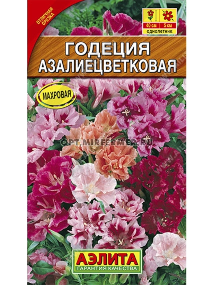 Однолетние растения годеция