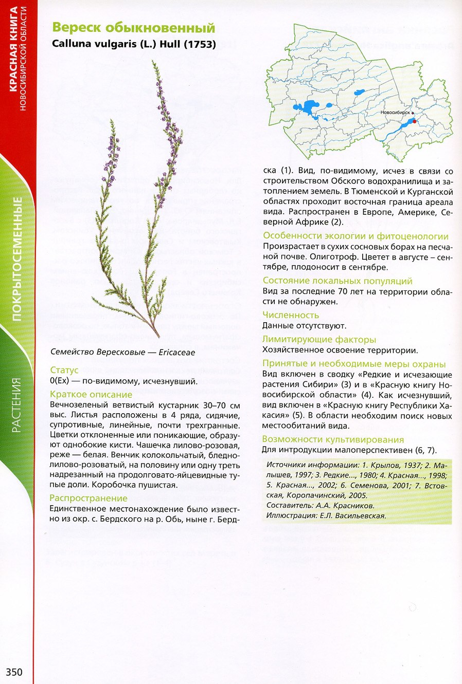 Растения Новосибирской области занесенные в красную книгу