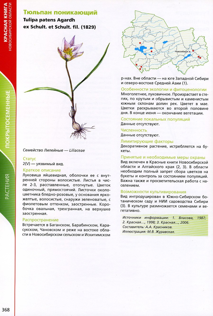 Растения НСО Новосибирской области красная книга