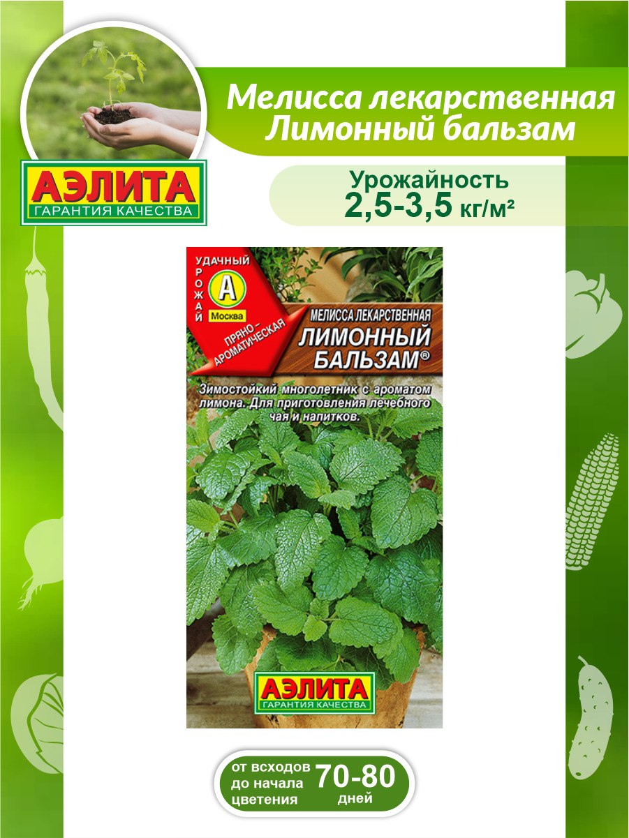 Руккола быстрорастущая 0,3гр (Аэлита)