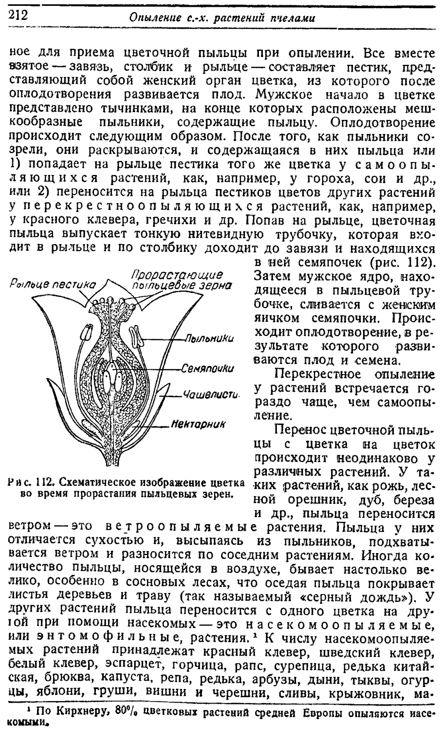Прорастание пыльцы на рыльце