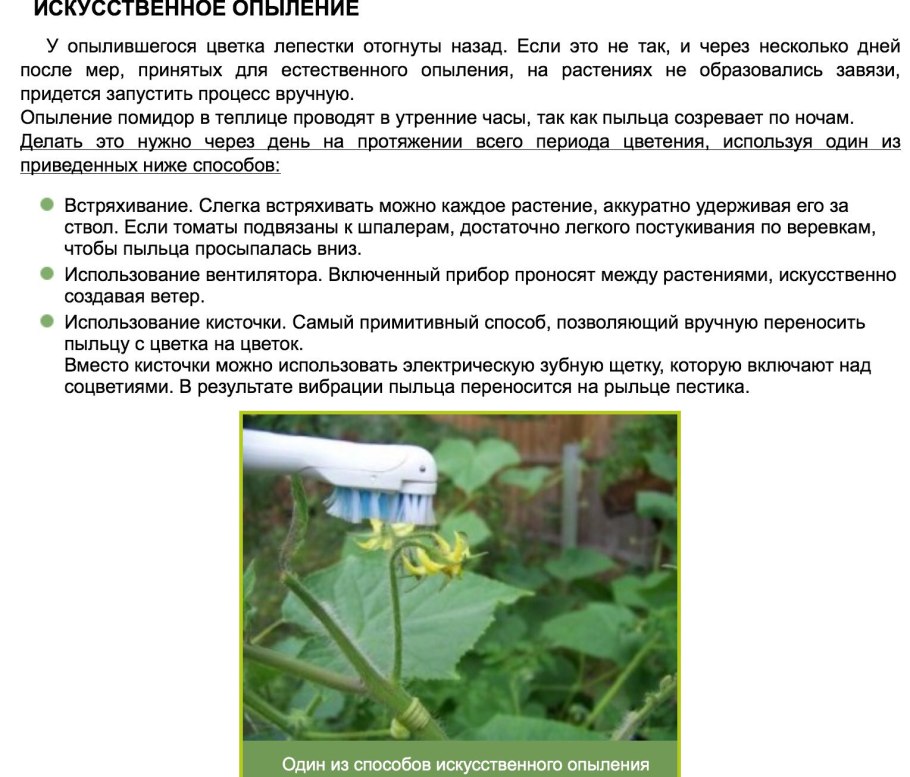 Кисточка для опыления растений