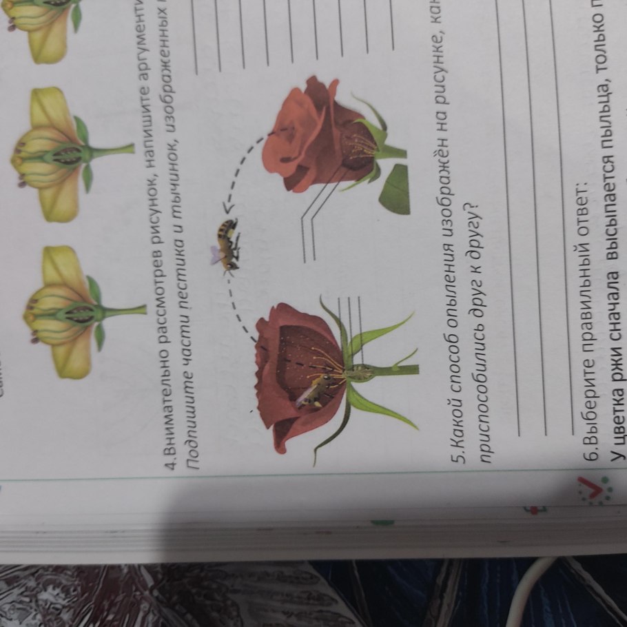 Опыление схема