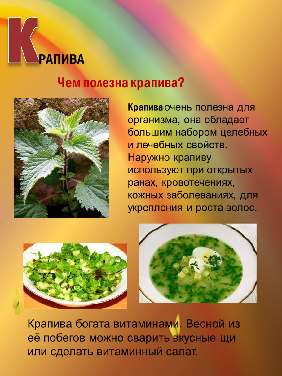 Чем полезна крапива