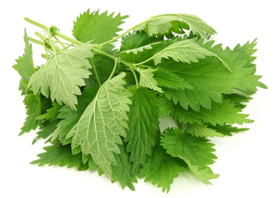 Час с крапивой купить