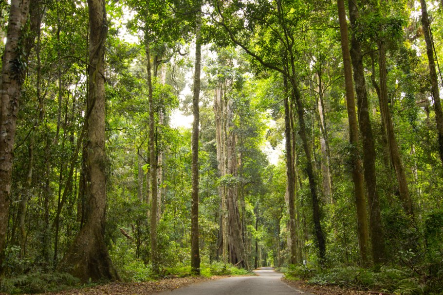 Природные зоны земли карта