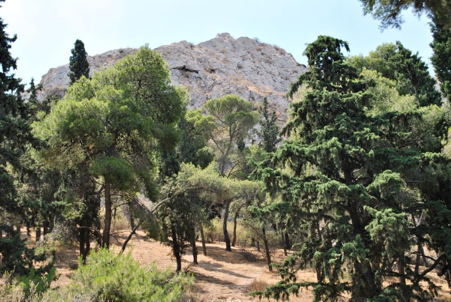 Маквис и фригана