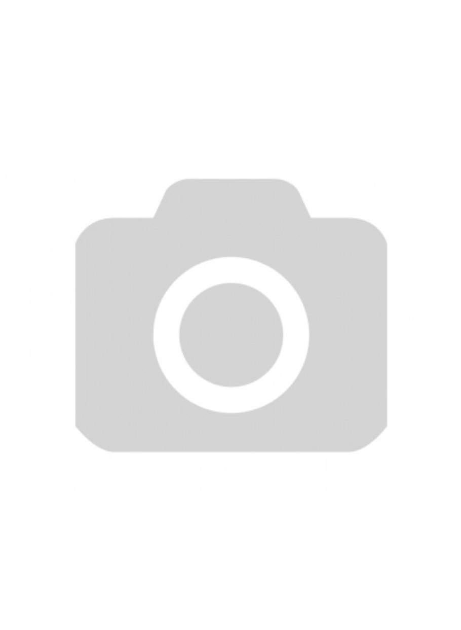 Зона субтропиков на карте мира