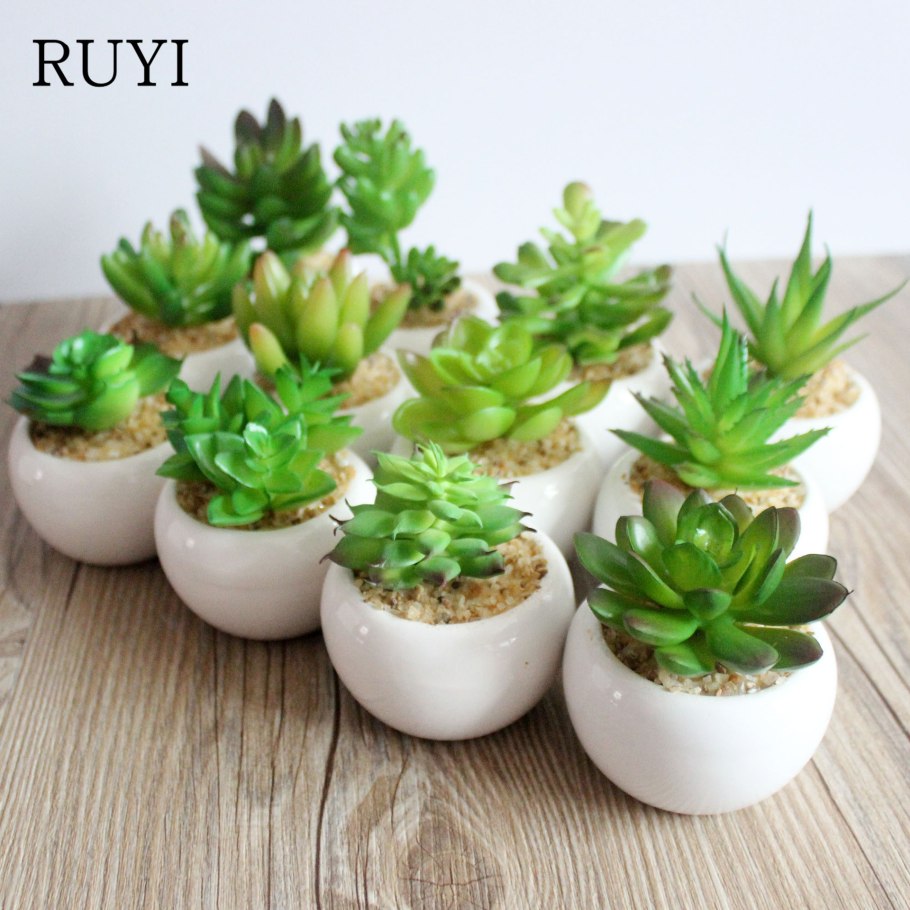 Мини Суккуленты