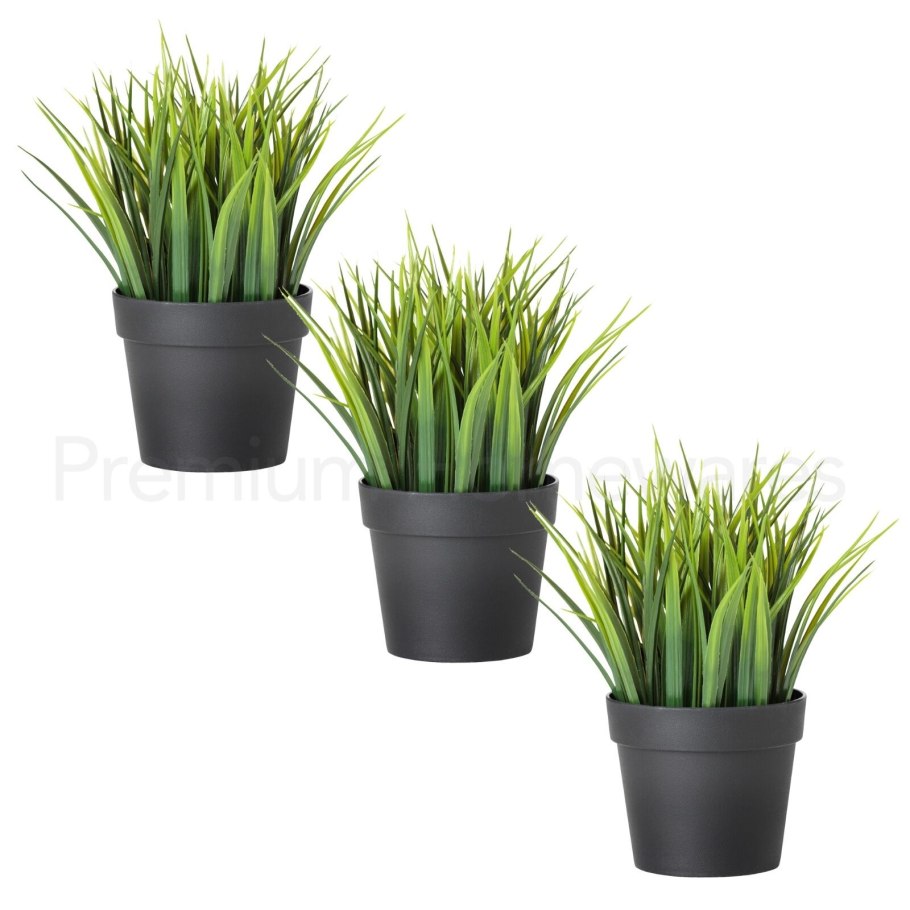 Комнатные мини кустарники в горшках